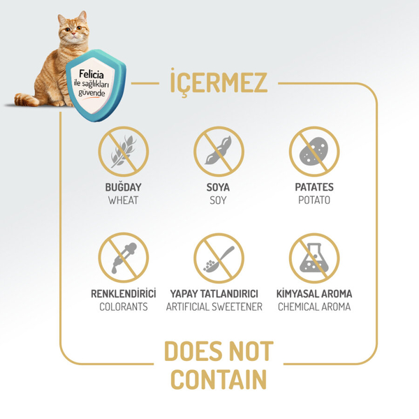 Felicia 5 Kg Kolajenli Somonlu Az Tahıllı Yetişkin Kedi Maması HypoAllergenic Kedi Maması