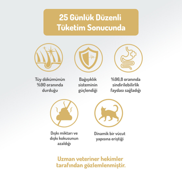 Felicia 5 Kg Kolajenli Somonlu Az Tahıllı Yetişkin Kedi Maması HypoAllergenic Kedi Maması