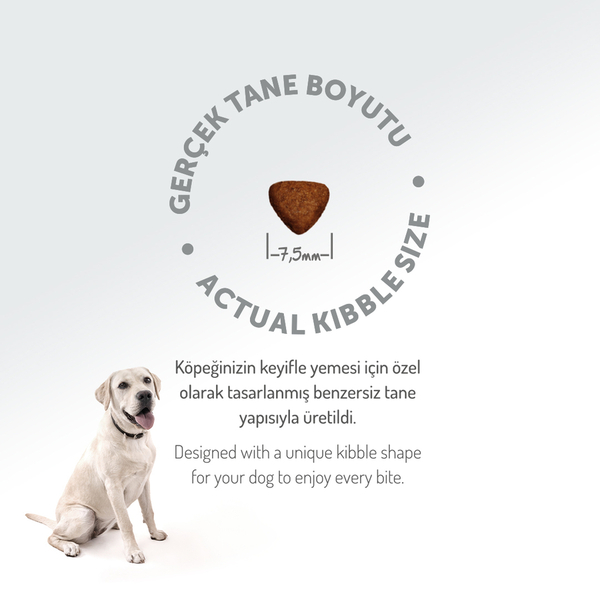 Felicia 6 Kg (2x3 Kg) Kolajenli Kuzulu Az Tahıllı Flexi Size Yavru Köpek Maması HypoAllergenic Köpek Maması