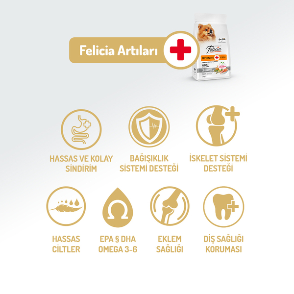 Felicia 6 Kg (2x3 Kg) Kolajenli Somonlu Az Tahıllı Small/Mini Yetişkin Köpek Maması /Mini HypoAllergenic Köpek Maması