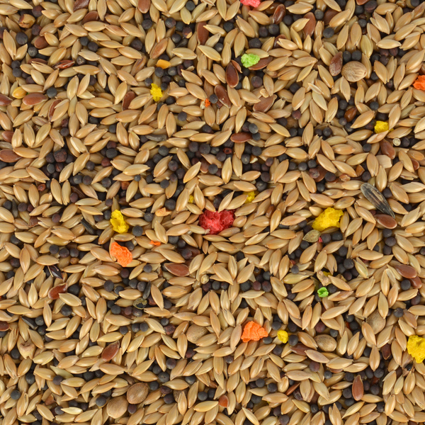 GWC Kanarya Yemi 400 gr 6'lı