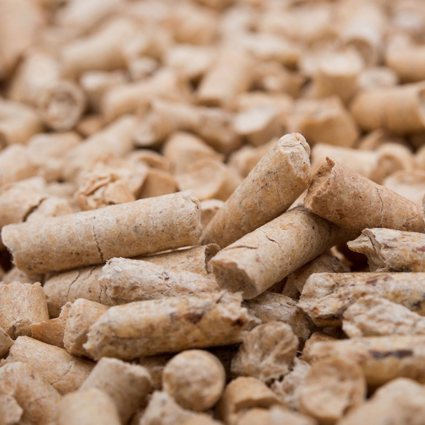 Quik Çam Pellet Kedi Kumu 20 kg
