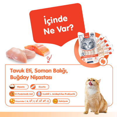 Wanpy Digestive Health Somon Balığı&Tavuk 12'li-F.Krema Ödül 5x14gr - Thumbnail