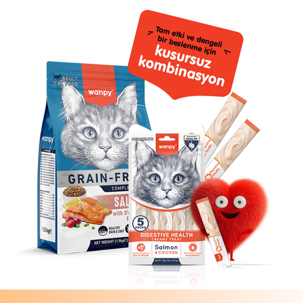 Wanpy Digestive Health Somon Balığı&Tavuk 12'li-F.Krema Ödül 5x14gr
