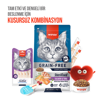Wanpy Hindi & Kızılcıklı 12’li – Kısırlaştırılmış Kedi Krema Ödülü 5×14 g - Thumbnail