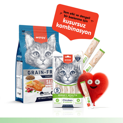 Wanpy Kidney Health Tavuk&Sebze 12'li-F.Krema Ödül 5x14gr - Thumbnail