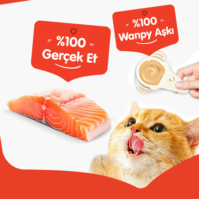 Wanpy Somonlu 10*16 gr Kaşıklı Kedi Ödül Kreması - Thumbnail