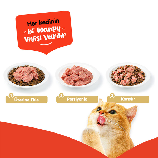 Wanpy Tahılsız Köpek %100 Gerçek Et 375 gr Biftekli Konserve 12 Adet