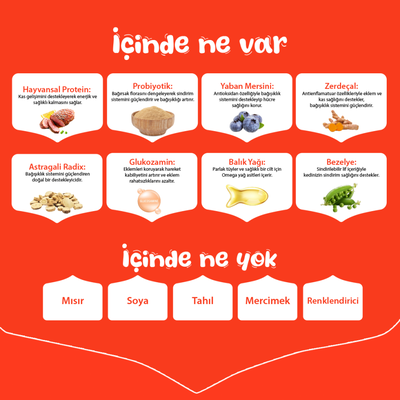 Wanpy Tahılsız Ördekli Yetişkin Köpek Maması 12 kg - Thumbnail