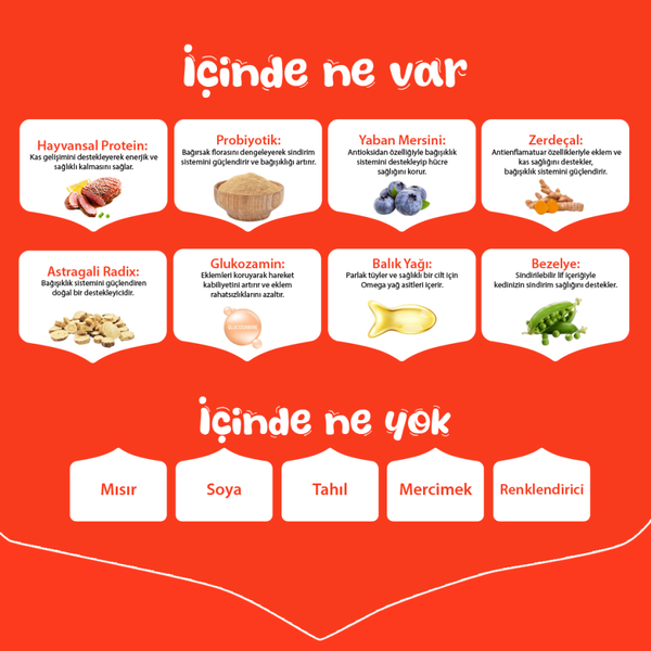 Wanpy Tahılsız Ördekli Yetişkin Köpek Maması 12 kg