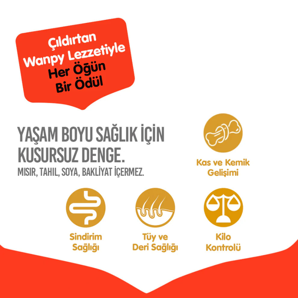 Wanpy Tahılsız Sığır Etli Yetişkin Köpek Maması 12 kg