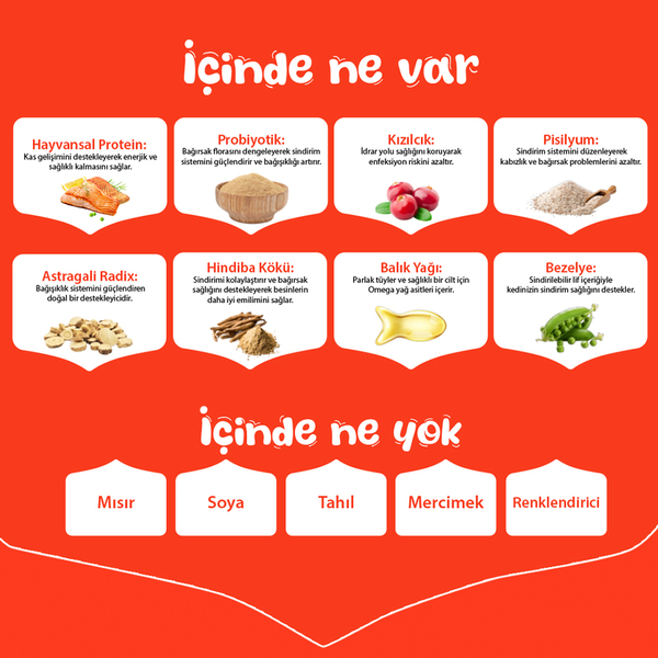 Wanpy Tahılsız Somonlu Yetişkin Kedi Maması 1,5 kg