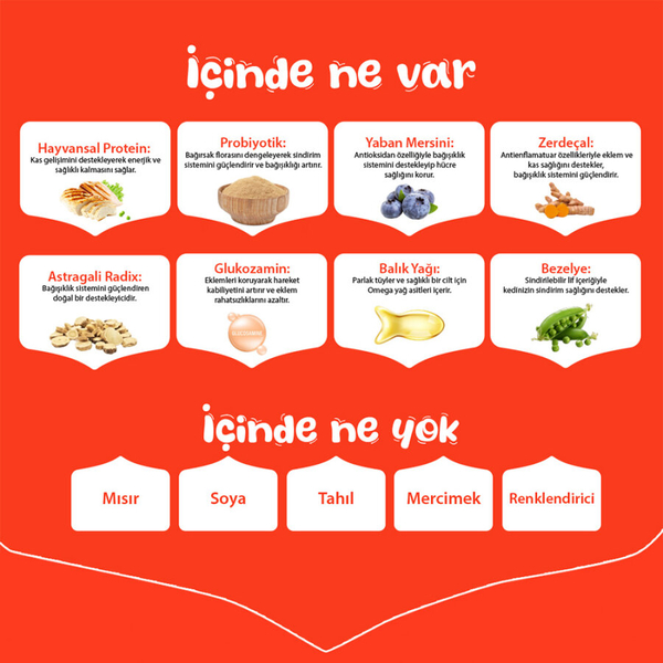 Wanpy Tahılsız Somonlu Yetişkin Köpek Maması 1,5 kg