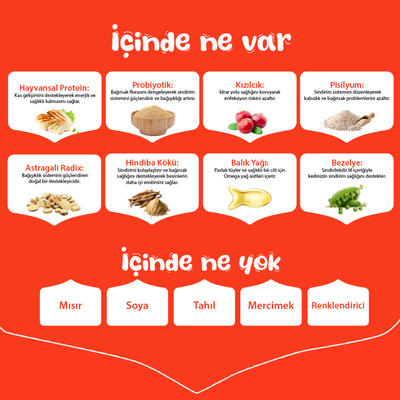Wanpy Tahılsız Tavuklu Yavru Kedi Maması 8 kg - Thumbnail