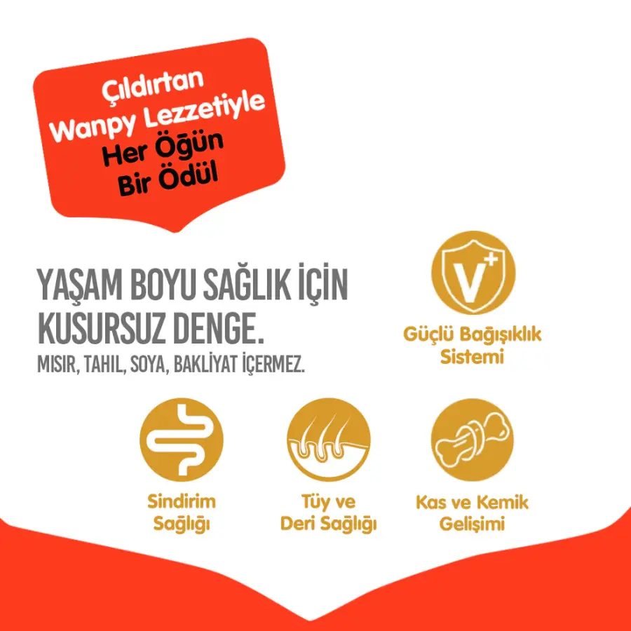 Wanpy Tahılsız Tavuklu Yetişkin Köpek Maması 12 kg - Thumbnail
