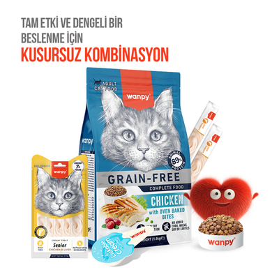 Wanpy Tavuklu & Ciğerli 12’li – 7+ Yaş Kedi Krema Ödülü 5×14 g - Thumbnail