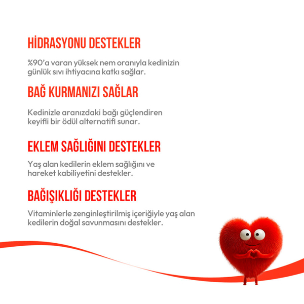 Wanpy Ton Balıklı 12’li – 7+ Yaş Kedi Krema Ödülü 5×14 g
