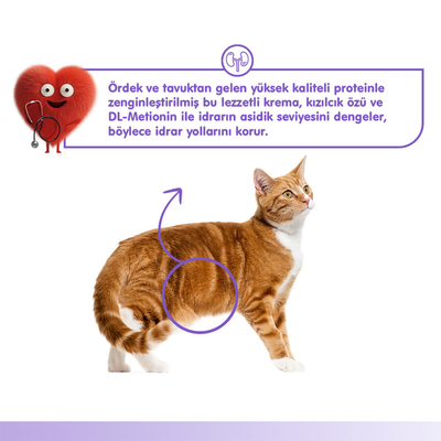 Wanpy Urinary Care Ördek&Tavuk 12'li-F.Krema Ödül 5x14gr - Thumbnail